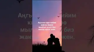 Түш көрдүм