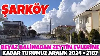 BEYAZ BALİNADAN ZEYTİN EVLERİNE KADAR TURUMUZ ARALIK 2024  = 2187