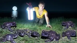 Catch Many Frogs At Night Goes To Market Sell - Solo Bushcraft | New Free Bushcraft