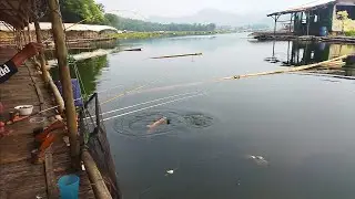 rakit pemancingan sinar setia memang sarang ikan babon