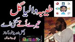 taiba waleya gal tere utte mukni ae / new hd naat / mics video