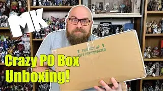 An Absolutely Insane PO Box Unboxing