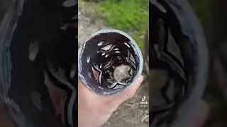 #своимируками