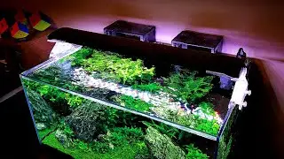 Why Surface Agitation is Important in Aquariums