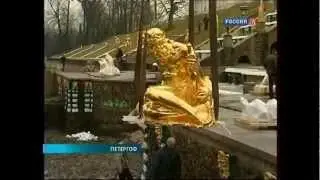 Ночные 