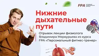 Нижние дыхательные пути | Владимир Меркурьев (FPA)