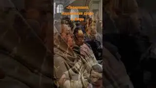 С Вербным воскресеньем!