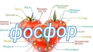 Помидор бодринг ва болгар калампиридан мул хосил олиш .