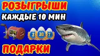 СТРИМ РР4 🎁 РОЗЫГРЫШИ ПРЕМОВ И ЗОЛОТА 🎁 В РУЛЕТКЕ - КАТУШКИ, ЗОЛОТО, ПРЕМЫ 🎁 МОРЕ ТУРНИРЫ 👍 DUM_