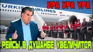 Хорошо! УРА, Много рейсов! Рейсы в Душанбе увеличится! Новости Таджикистана Сегодня!