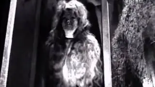El Santo Contra las Mujeres Vampiro (1962)