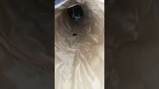 Когда выключили свет