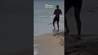 Крым дикий кабан на пляже.2023г