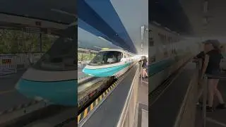 Walt Disney World Monorail Arriving in Station #disneyworld #disney