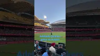 Adelaide strikers game vs hobart | @MrPortSupporter2024