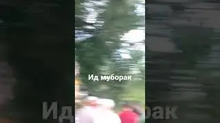 идо кати