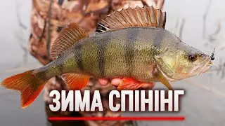 ЛОВЛЯ ОКУНЯ на СПІНІНГ з берега ЗИМОЮ.