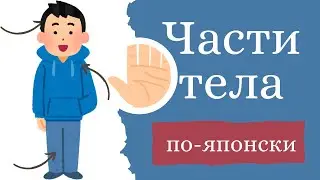 Изучаем японский: Части тела на японском языке (Урок по словарному запасу)