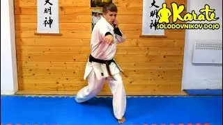 Очень резкий и неожиданный  прямой удар | Киокушинкай каратэ | Very sharp and unexpected blow