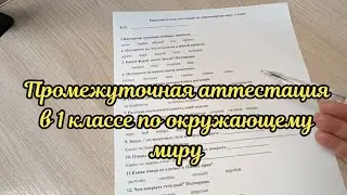 Промежуточная аттестация по окружающему миру в 1 классе