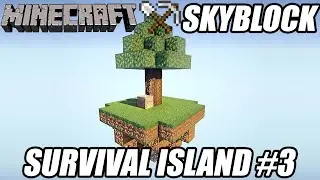 Minecraft Skyblock Survival Island #3 | Expanding The Island!