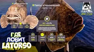 Русская рыбалка 4. 🎣🦈 Норвежское море 🐋🐡💦 ГДЕ ЛОВИТ LATORSO 👀