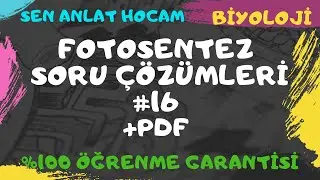 FOTOSENTEZ SORU ÇÖZÜMLERİ 16 // FOTOSENTEZ SORU ÇÖZÜMÜ// 