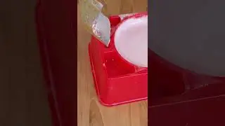 Japanese Foam Candy