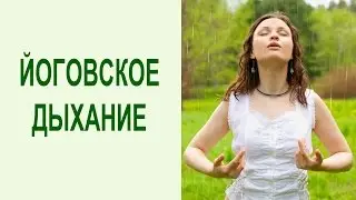 Как правильно дышать, если устал? Полное йоговское дыхание: техника выполнения. Yogalife