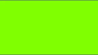 Screen Test Video