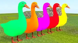 COLOUR 3D DUCK CARTOON FOUNTAIN CROSSING ANIMAL   funny animal ,COW CARTOON