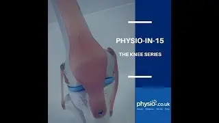 Ep 1 Knee series: Knee Anatomy