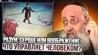 Разум, сердце или воображение. Что управляет человеком? Рав Ашер Кушнир