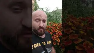 Завёл канал на рутуб. Как дубликат Ютуба