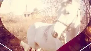 Поездка на огород