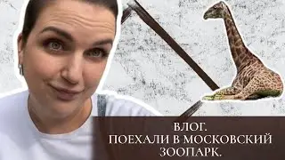 ВЛОГ | ПОЕХАЛИ В ЗООПАРК | МОСКОВСКИЙ ЗООПАРК КАК ТАМ СЕЙЧАС? | ПОСМОТРЕЛИ НА ЛЬВОВ, ЗЕБР И ДРУГИХ