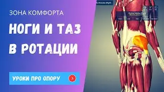 Таз и опора на повздошные кости в ротации. Расслабление таза и ТБС.