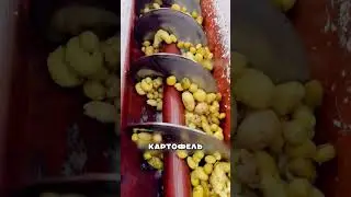 САМЫЙ БОГАТЫЙ ЧЕЛОВЕК БУРЯТИИ 🤯💰