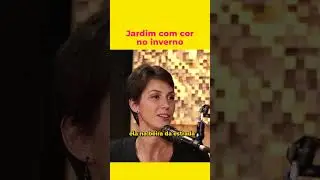 Jardim de inverno com cor - Pam Faccin 