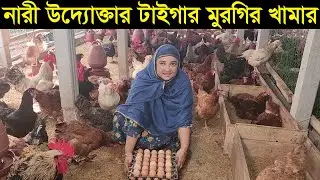 মাত্র ১৩ হাজার টাকা দিয়ে টাইগার মুরগির খামার শুরু করে এখন মাসে আয় করছেন লাখ টাকা