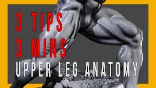 3 Tips/3 Mins New Zbrush Anatomy Tutorial