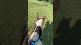 Todays Ride with Willow | Elena Angel