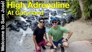 High Adrenaline at Gatorland Orlando