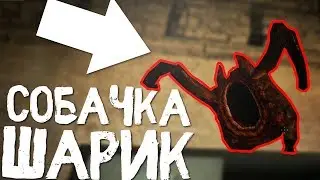 Кайф Лайф 2017 - СОБАЧКА ШАРИК СЛОМАЛ ТЕЛЕПОРТ К АЛИСЕ ЧЛЕНС! - Kayf-Life 2017 Remake