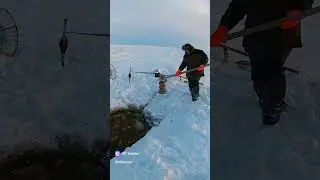 Северная Родина / Ненецкий Автономный округ / Нарьян-Мар