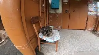 Рудный утро.50 лет дом 68 дворы.