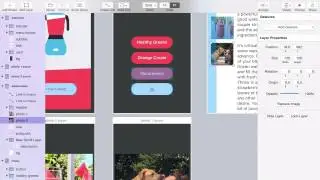 Flinto for Mac Overview