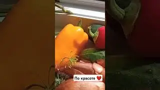 По красоте ❤️