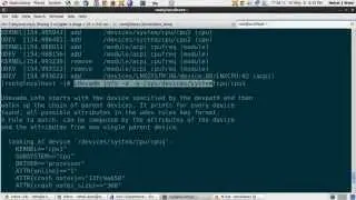 Qemu: CPU Hot-Plugging