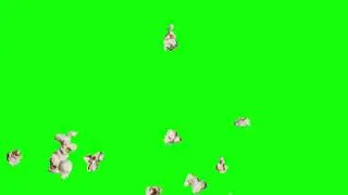 [4K] Popcorn Popping 2 - Green Screen